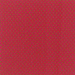 Photo for Dotty - Pink Lime