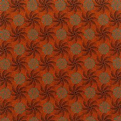 Photo for Cornflower - Pumpkin Green
