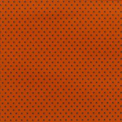 Photo for Dotty - Pumpkin Green