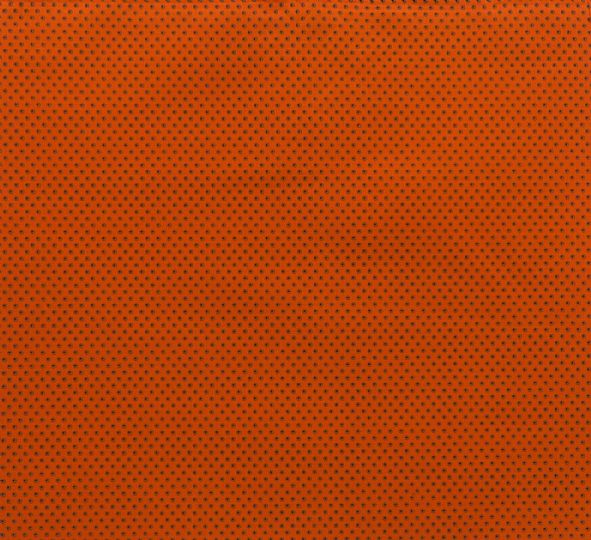 Photo for Dotty - Pumpkin Green