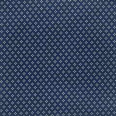 Photo for Daisy Dots Indigo