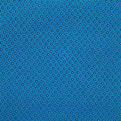 Photo for Dotty - Turquoise Black