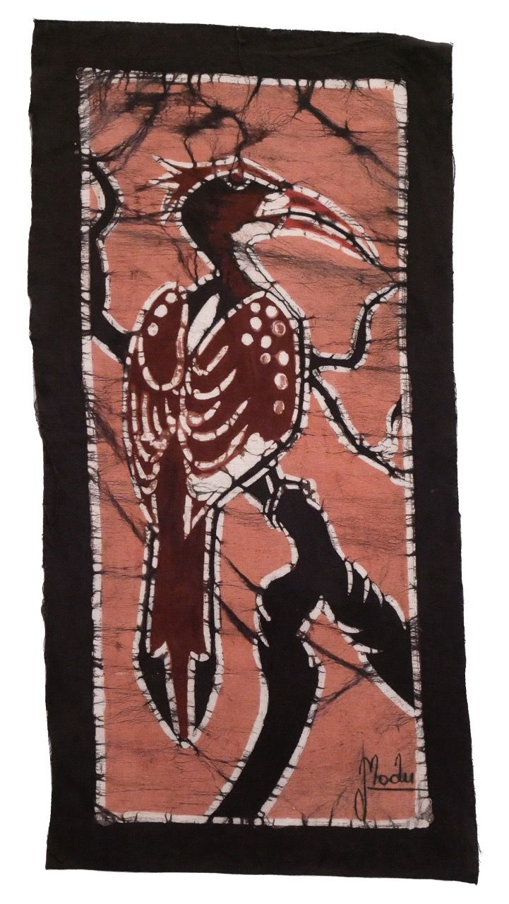 Photo for Hornbill