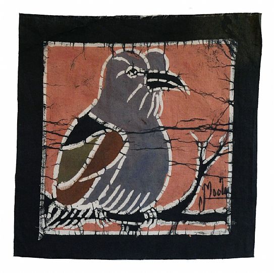 image for Flycatcher