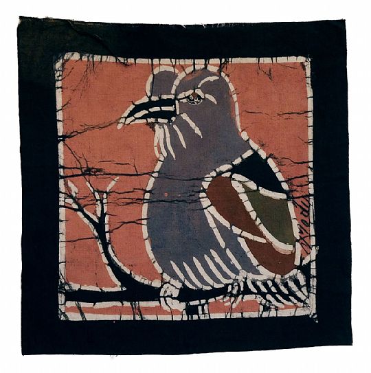 image for Flycatcher
