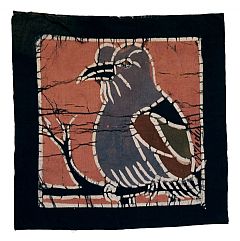 Photo for Flycatcher