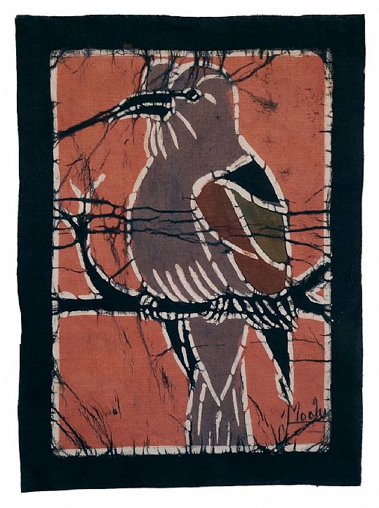 image for Flycatcher