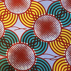 Photo for Spring Daisy