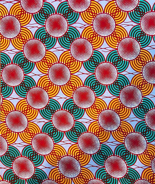 Photo for Spring Daisy