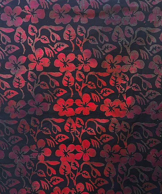 Photo for Esther 840